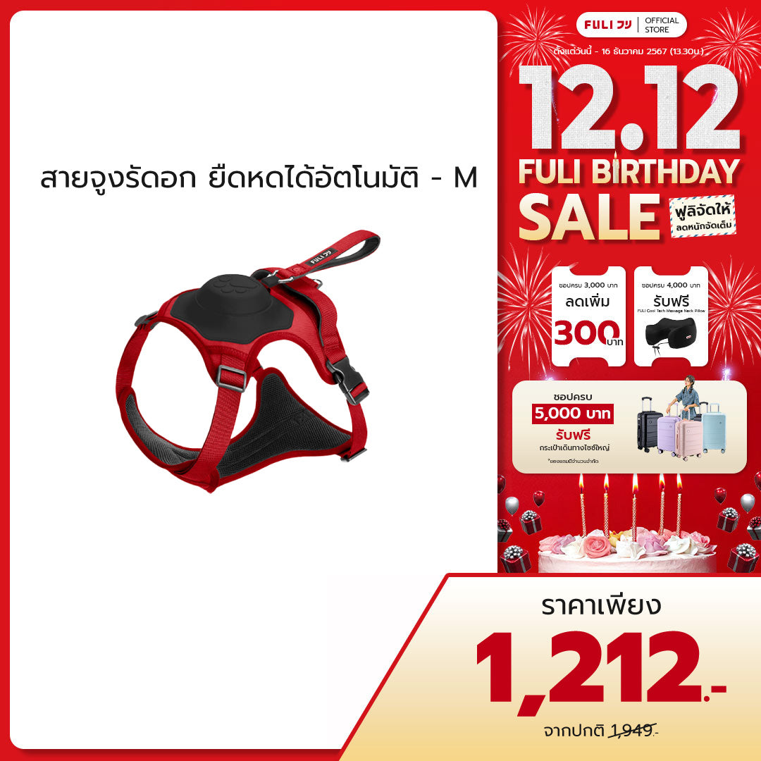 สายจูงรัดอก ยืดหดได้อัตโนมัติ - M | 2in1 Pet Harness with Built-In Leash - M