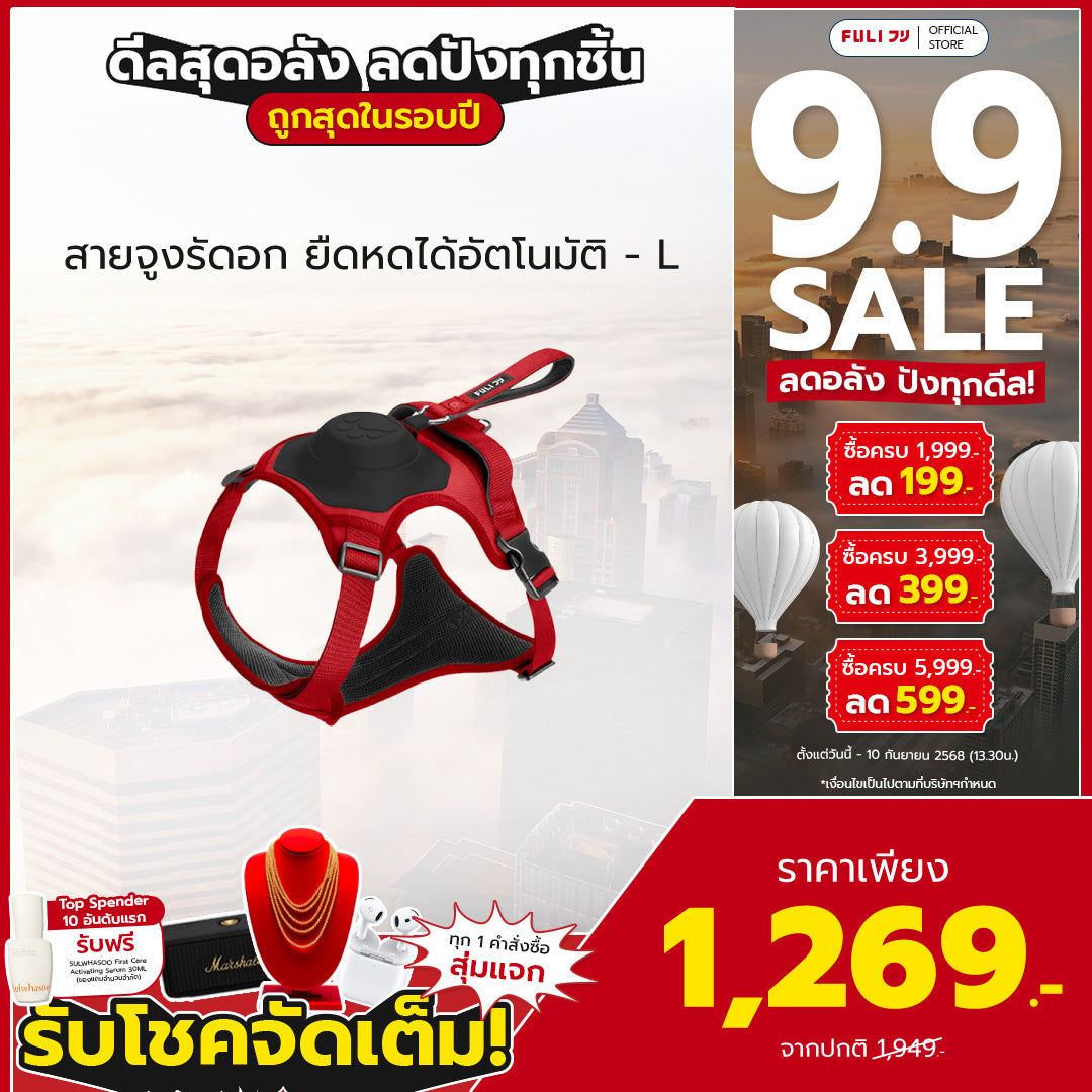 สายจูงรัดอก ยืดหดได้อัตโนมัติ - L | 2in1 Pet Harness with Built-In Leash  - L