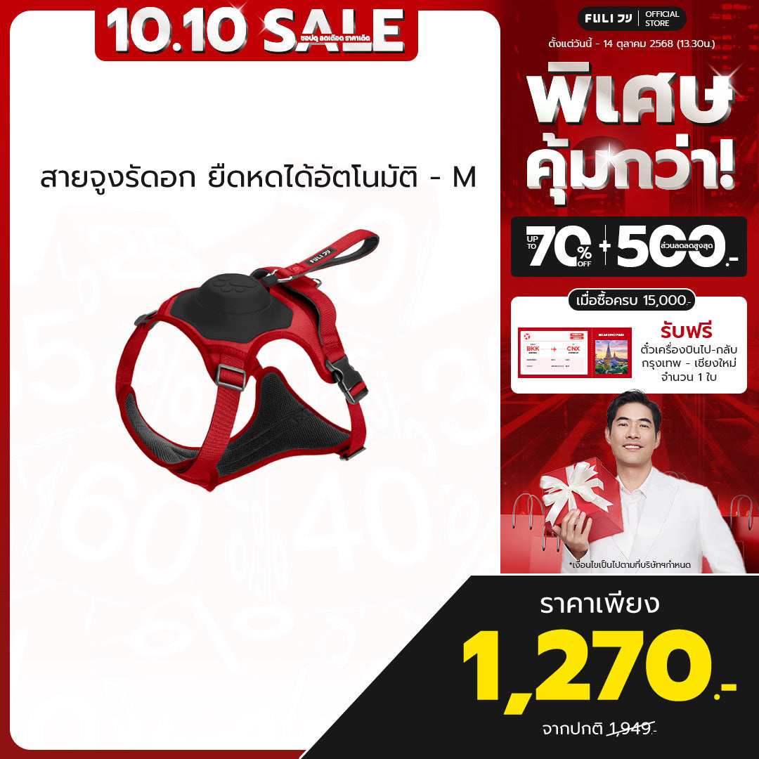 สายจูงรัดอก ยืดหดได้อัตโนมัติ - M | 2in1 Pet Harness with Built-In Leash  - M
