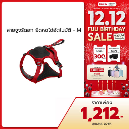 สายจูงรัดอก ยืดหดได้อัตโนมัติ - M | 2in1 Pet Harness with Built-In Leash  - M