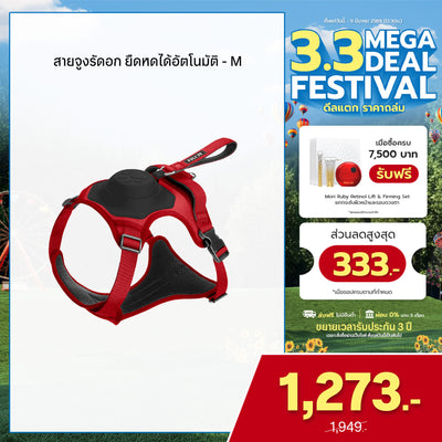 สายจูงรัดอก ยืดหดได้อัตโนมัติ - M | 2in1 Pet Harness with Built-In Leash  - M