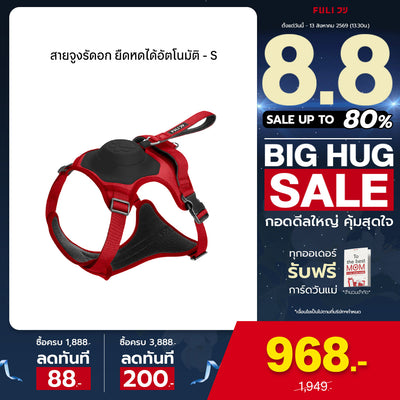 สายจูงรัดอก ยืดหดได้อัตโนมัติ - S | 2in1 Pet Harness with Built-In Leash - S