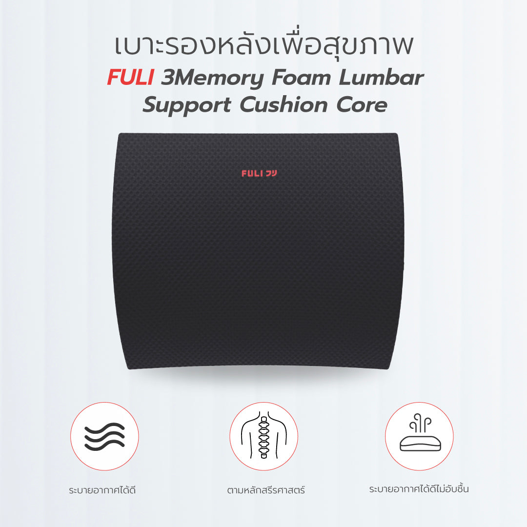 เบาะรองหลังเพื่อสุขภาพ FULI 3Memory Foam Lumbar Support Cushion Core