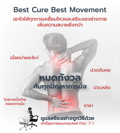 เก้าอี้สุขภาพ FULI X8 ErgoChair - 2 ตัว Black ดำ, White ขาว