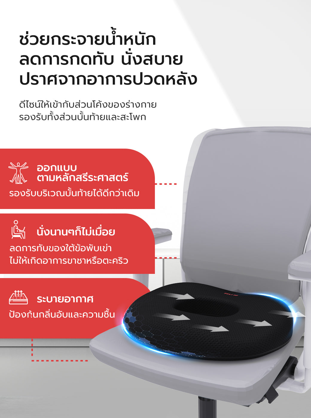 เซตคู่สุดฟิน FULI 3Memory Foam Lumbar Support Cushion Core + O Shape seat cushions